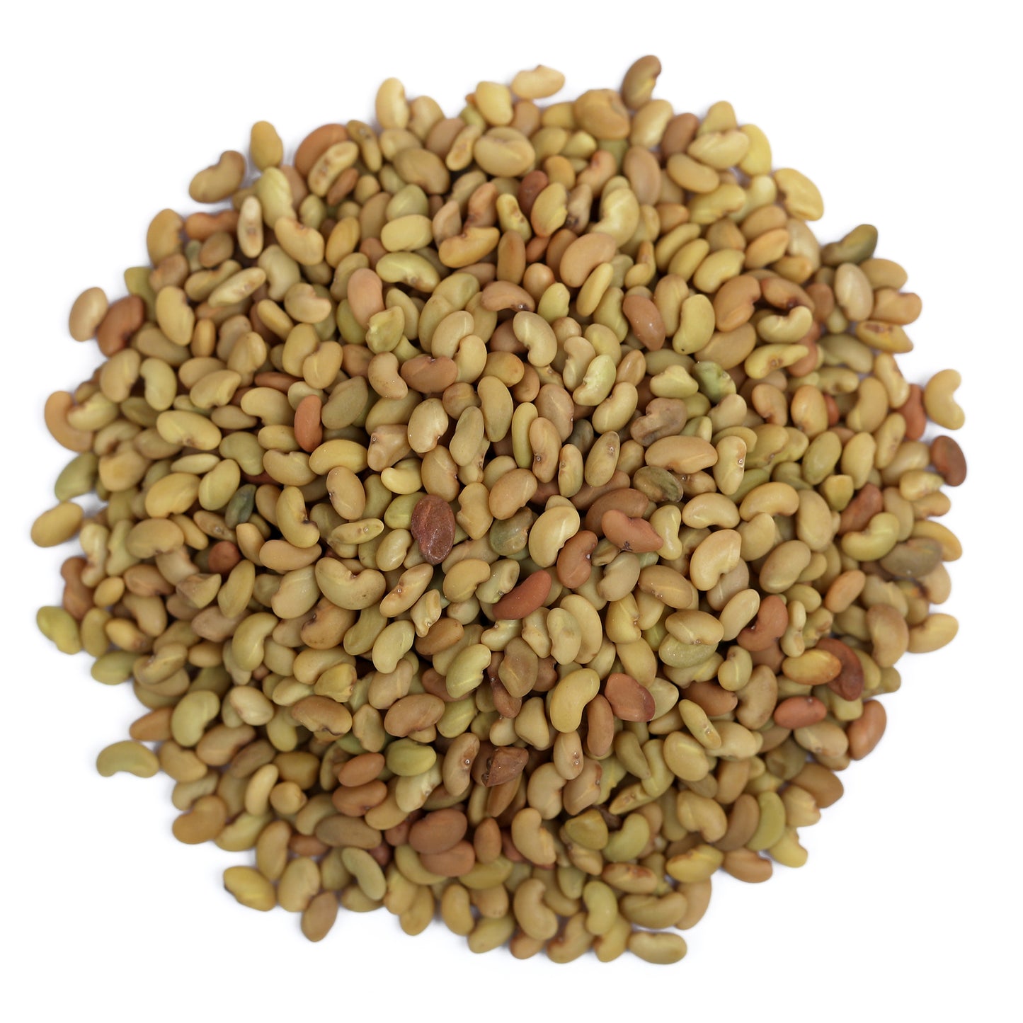 Alfa Seeds - Alfalfa Seeds