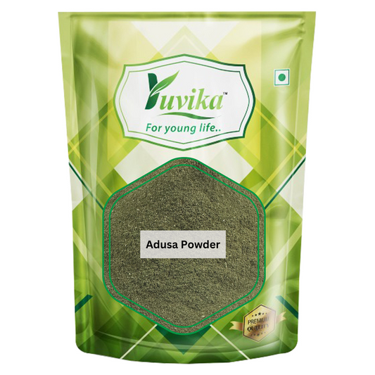 Bansa Hara Powder - Adusa Powder - Adoosa - Vasa - Adhatoda vasica Nees - Malabar Nut Tree