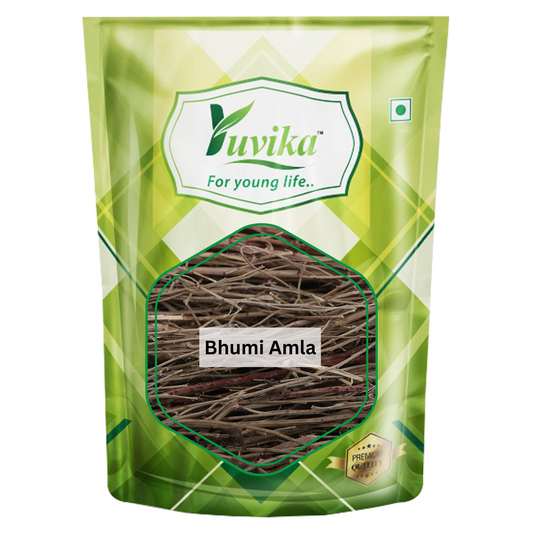 Bhumi Amla - Bhoomi Awla - Phyllanthus Niruri - Fillanto Niruhi