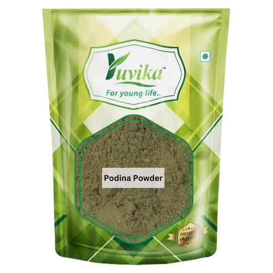 Podina Powder - Pudina - Mentha Arvensis Linn - Mint Leaves