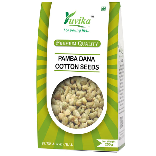 Pamba Dana - Binola Giri - Gossypium herbaceum - Cotton Seeds (250g)