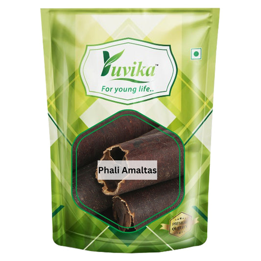 Amaltas Phali - fali Amaltas - Cassia Fistula