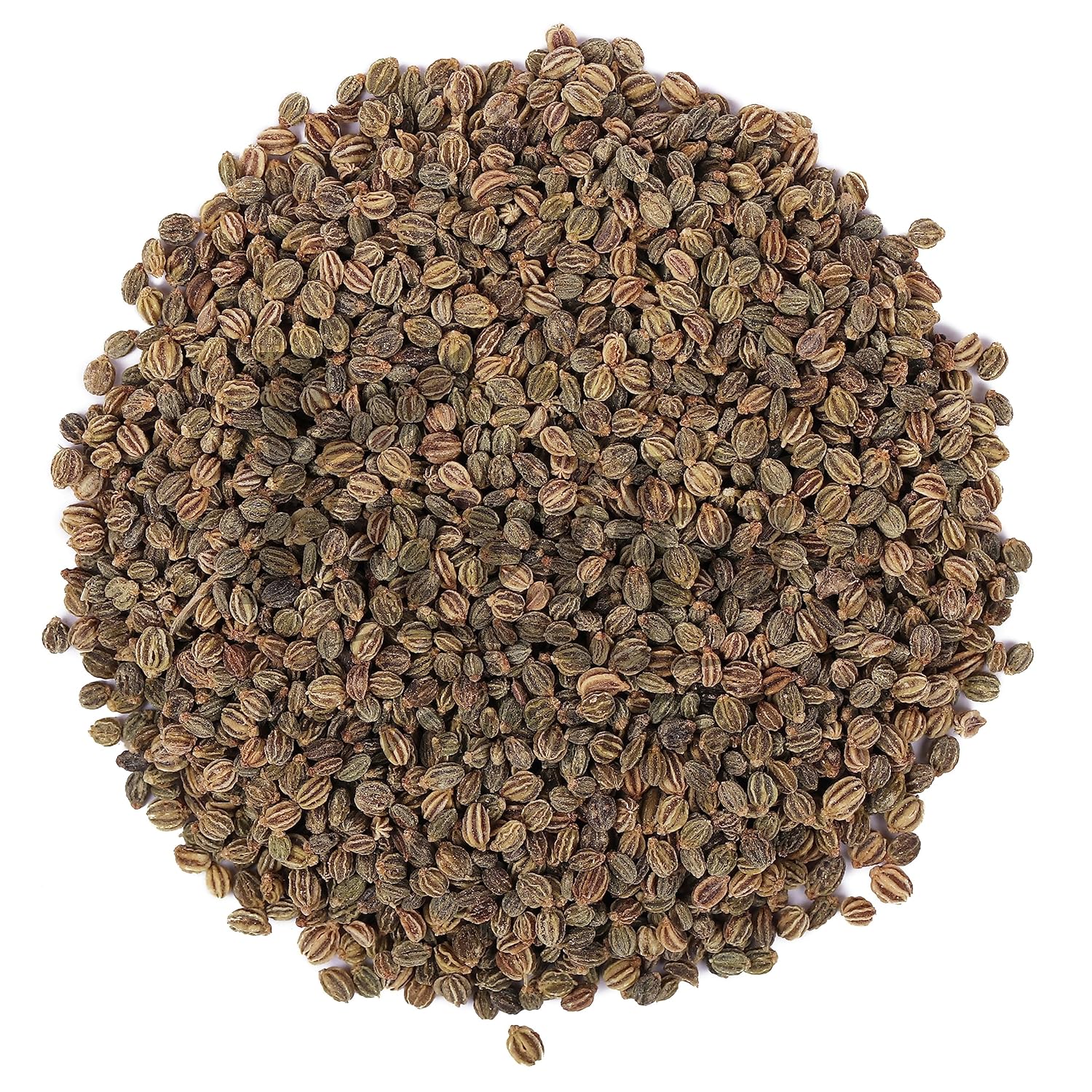 Ajmod - Apium Graveolens - Celery Seeds.