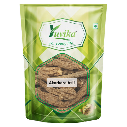 Akarkara Asli - Anacyclus Pyrethrum - Pellitory Root