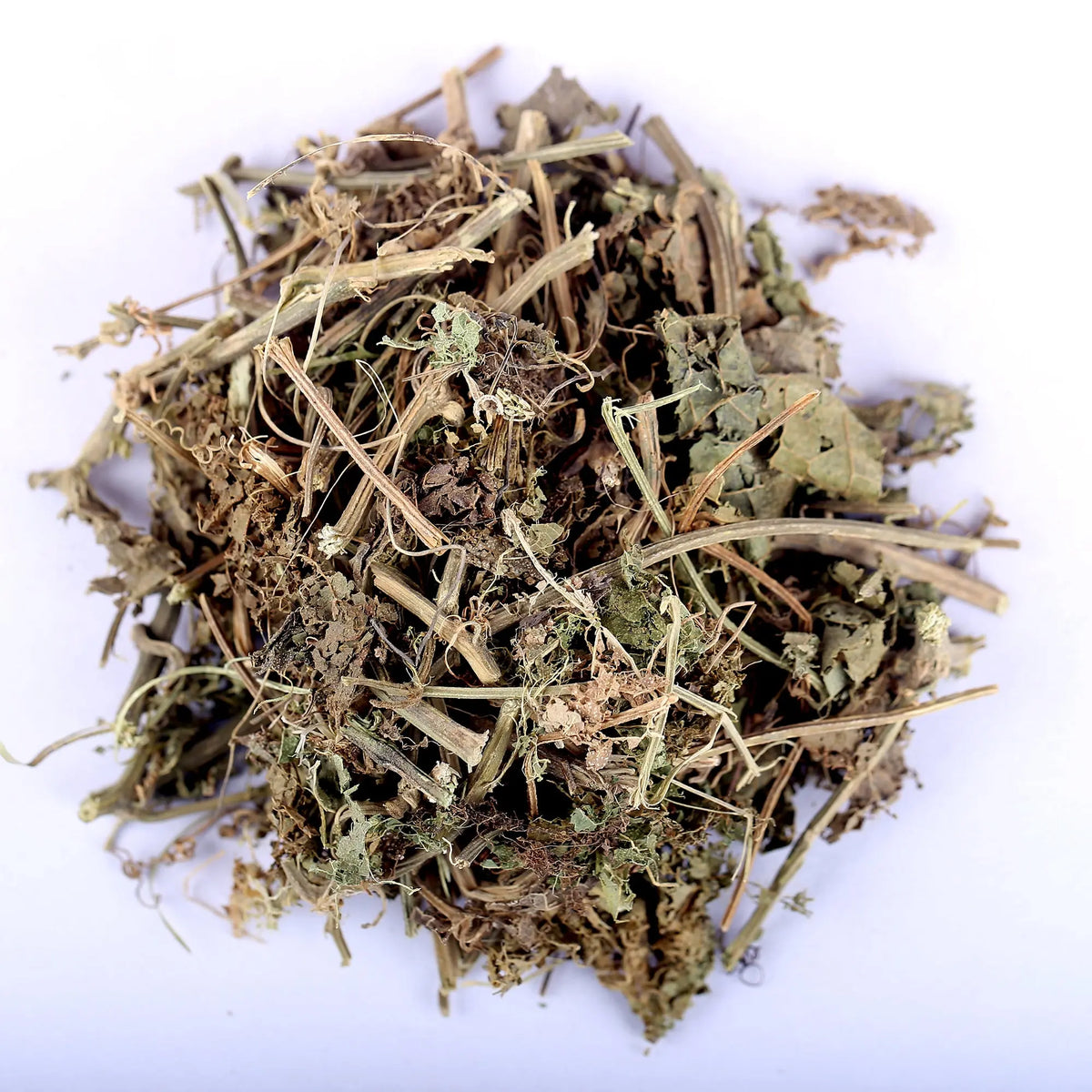 Patola Tree Roots Patol Patra - Patola - Trichosanthes Dioica - Pointed Gourd – Yuvika ...