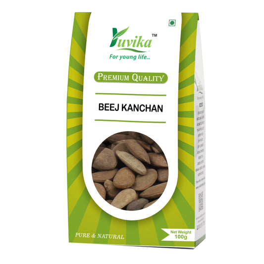 Beej Kanchan - Michelia Champaca (100g)