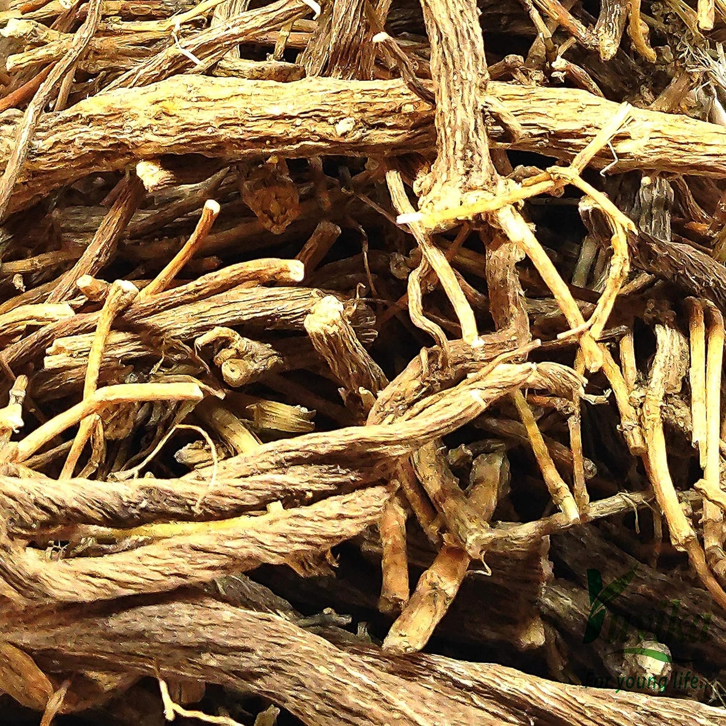 Bojidaan - Tanacetum umbelliferum - Pyrethrum Indicum - Senega Roots