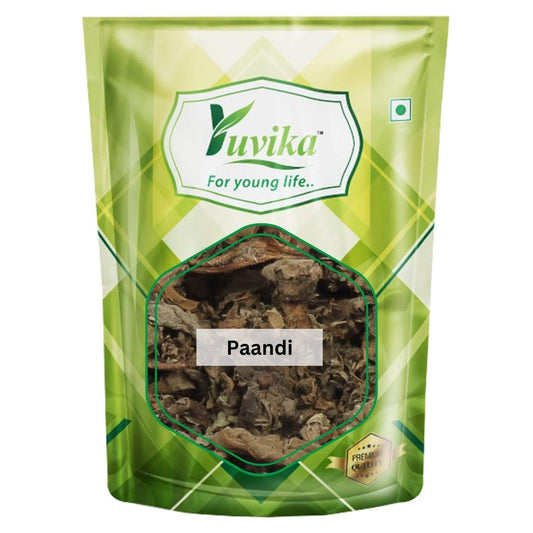 Paandi 1