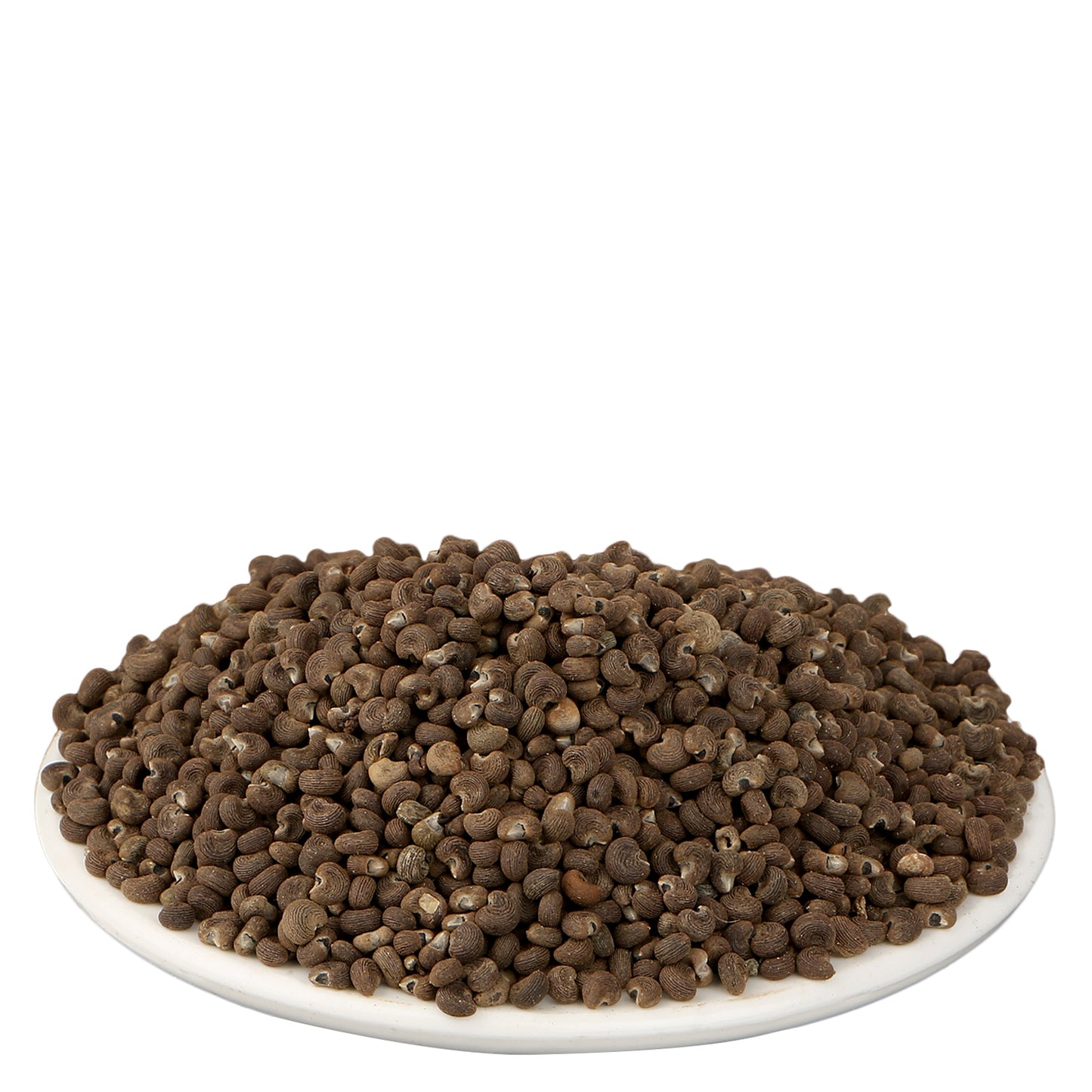 Mushk Dana - Mooshk Dana - Abelmoschus Moschatus - Ambrette Seeds