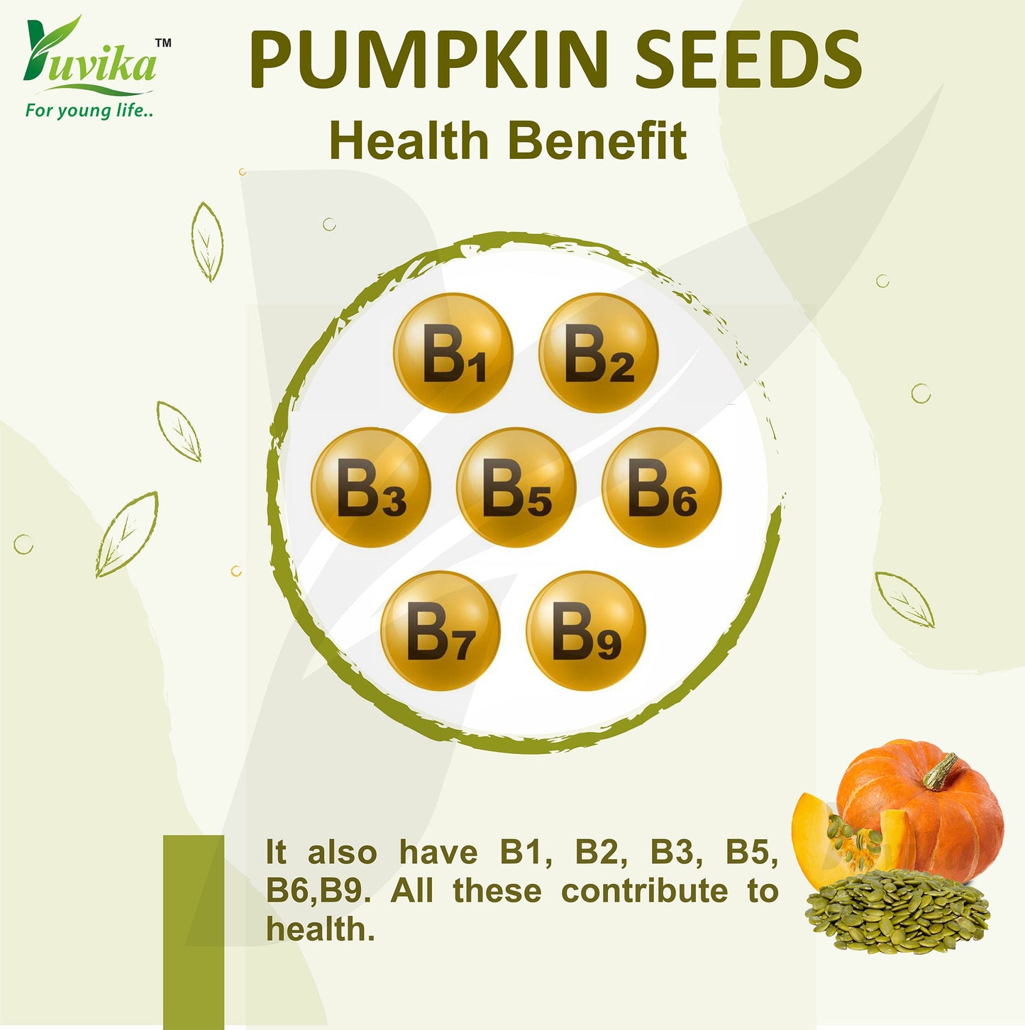 PUMPKIN SEED (250g)