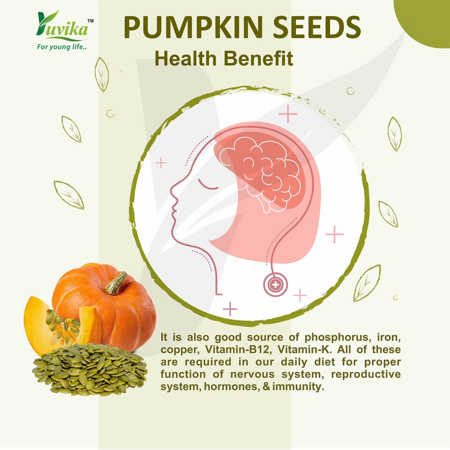 PUMPKIN SEED (250g)