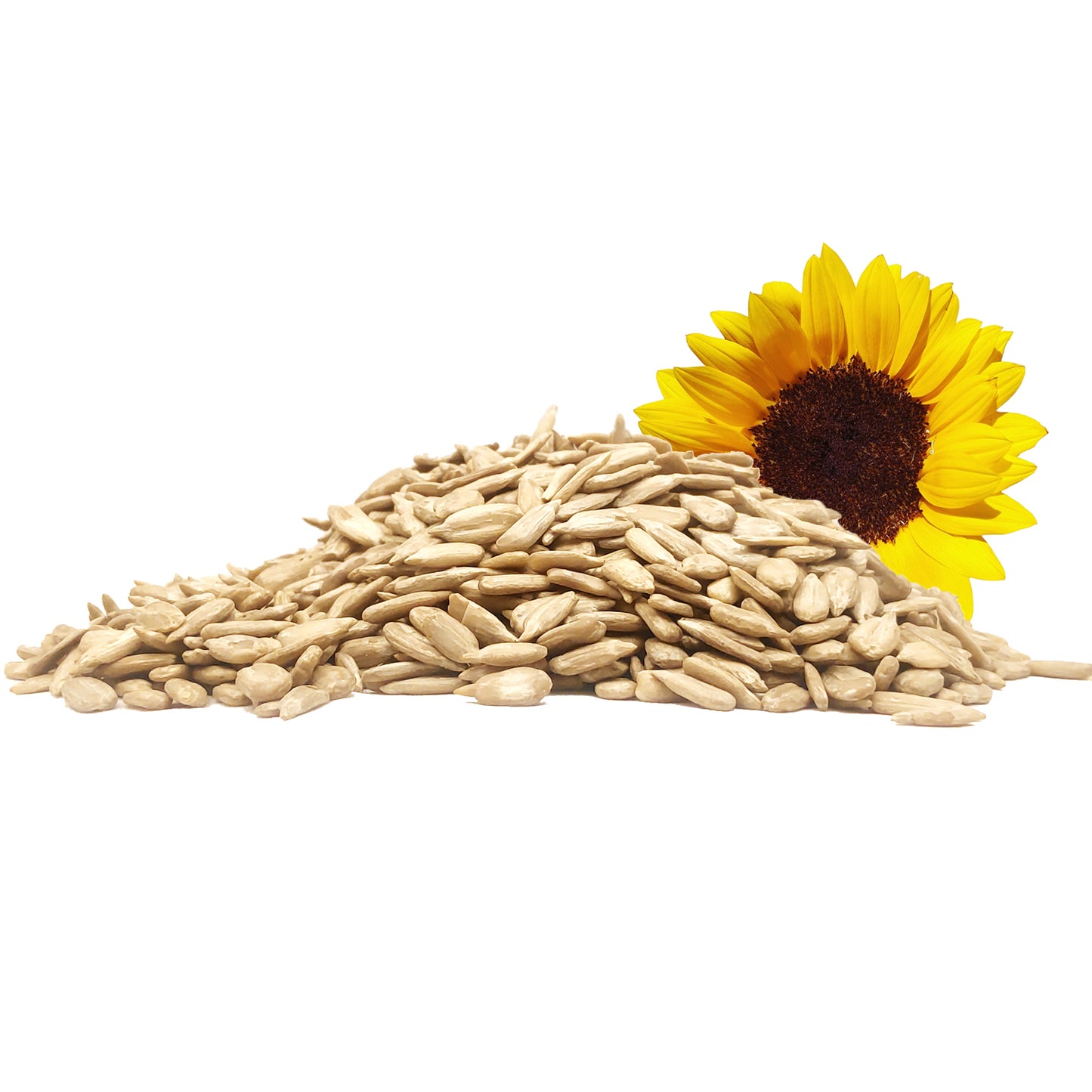 Sunflower Seeds - Surajmukhi Magaj