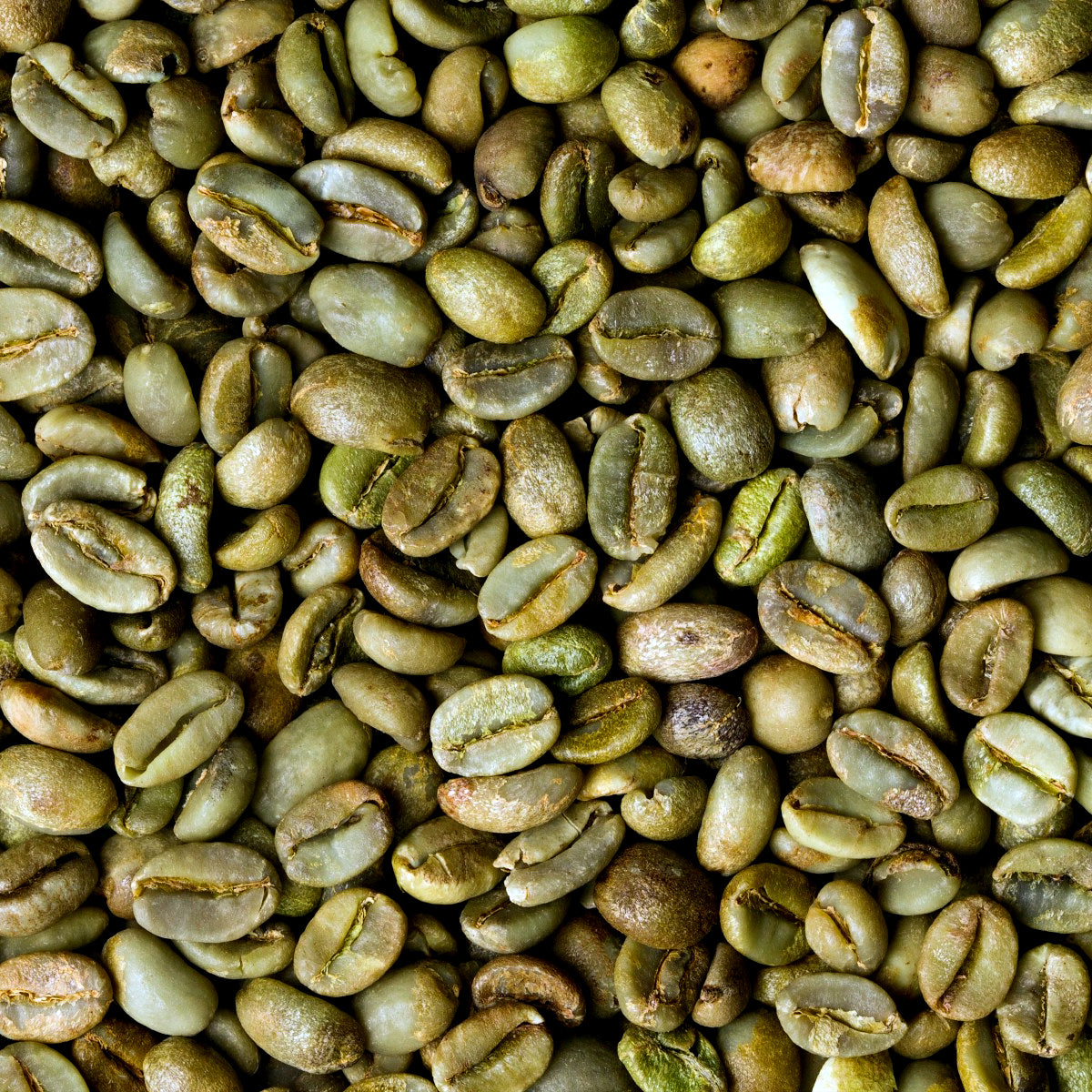 Green Coffee Beans Decaffeinated & Unroasted Arabica Coffee